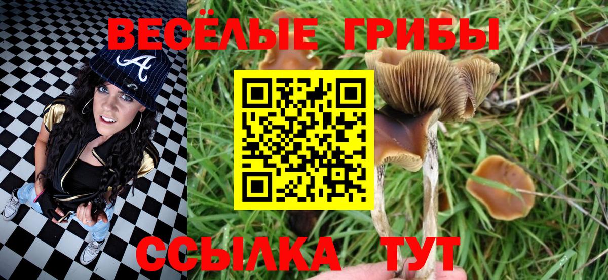 Псилоцибиновые грибы GOLDEN TEACHER  Вход с VPN  Псилоцибиновые грибы мухоморы  Батайск 